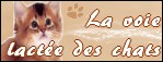 http://voie-lactee-des-chats.blogy.fr